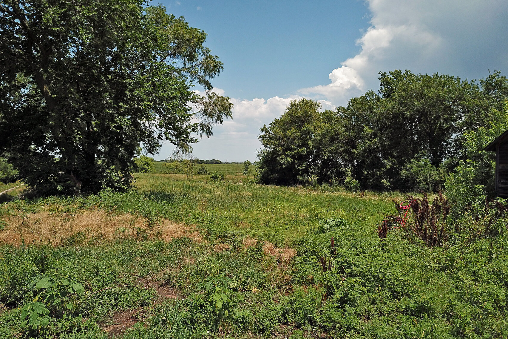 Image for Burrows Tracts Real Estate Pawnee County, NE Land Auction