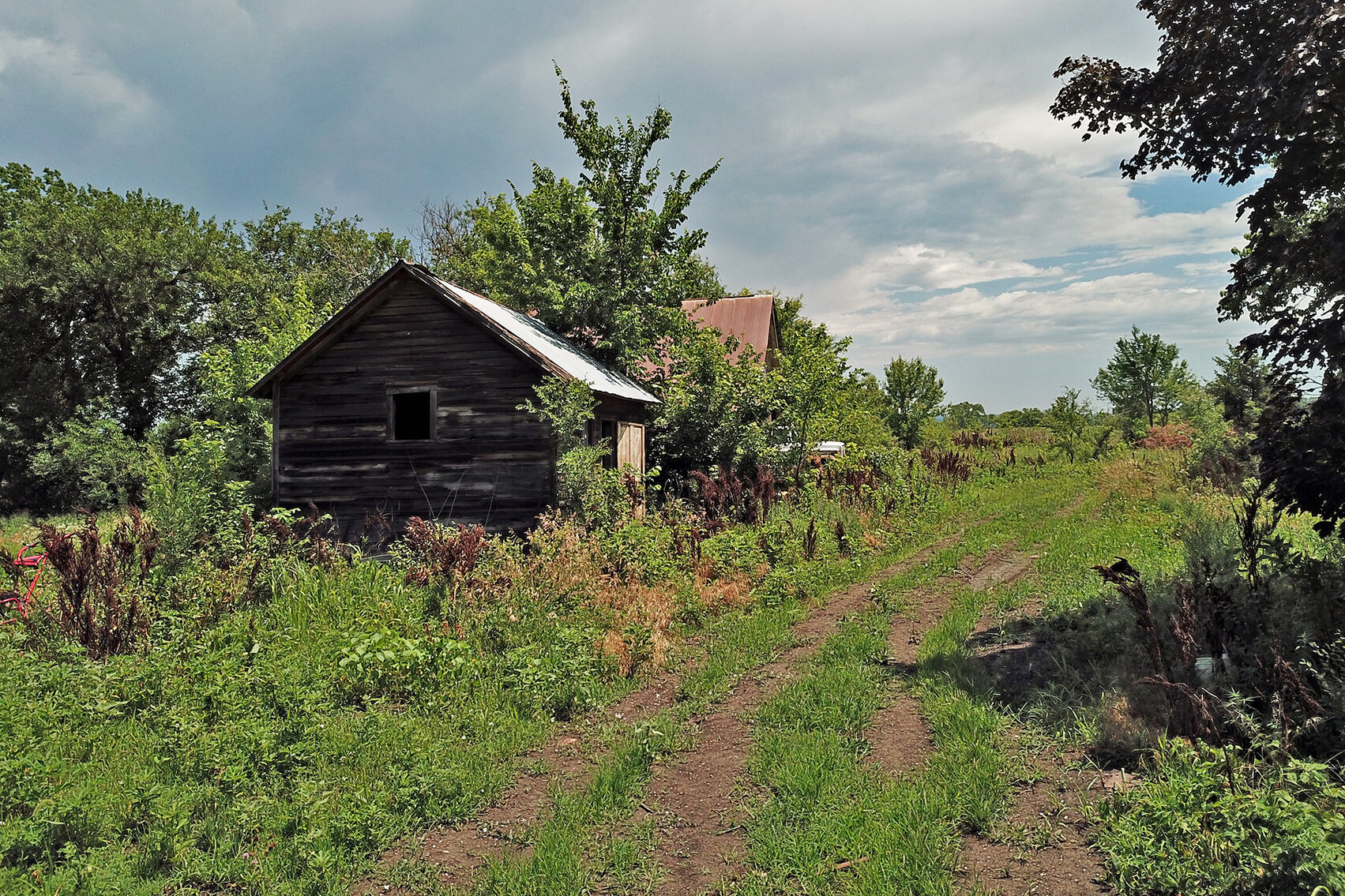Image for Burrows Tracts Real Estate Pawnee County, NE Land Auction