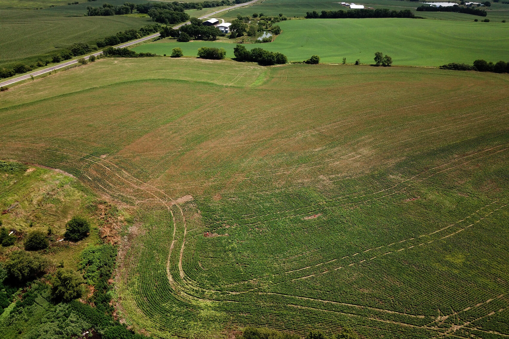 Image for Burrows Tracts Real Estate Pawnee County, NE Land Auction