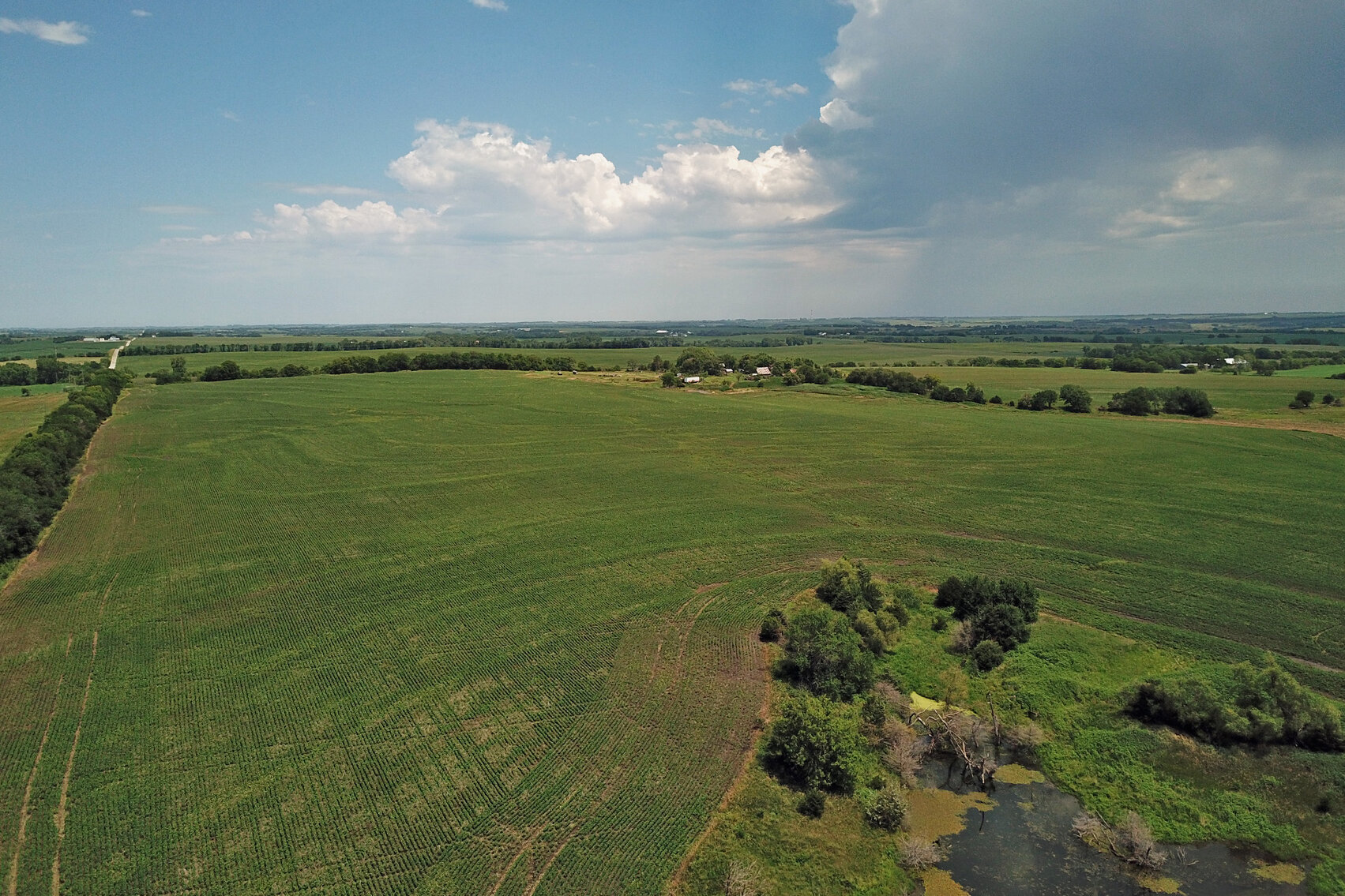 Image for Burrows Tracts Real Estate Pawnee County, NE Land Auction