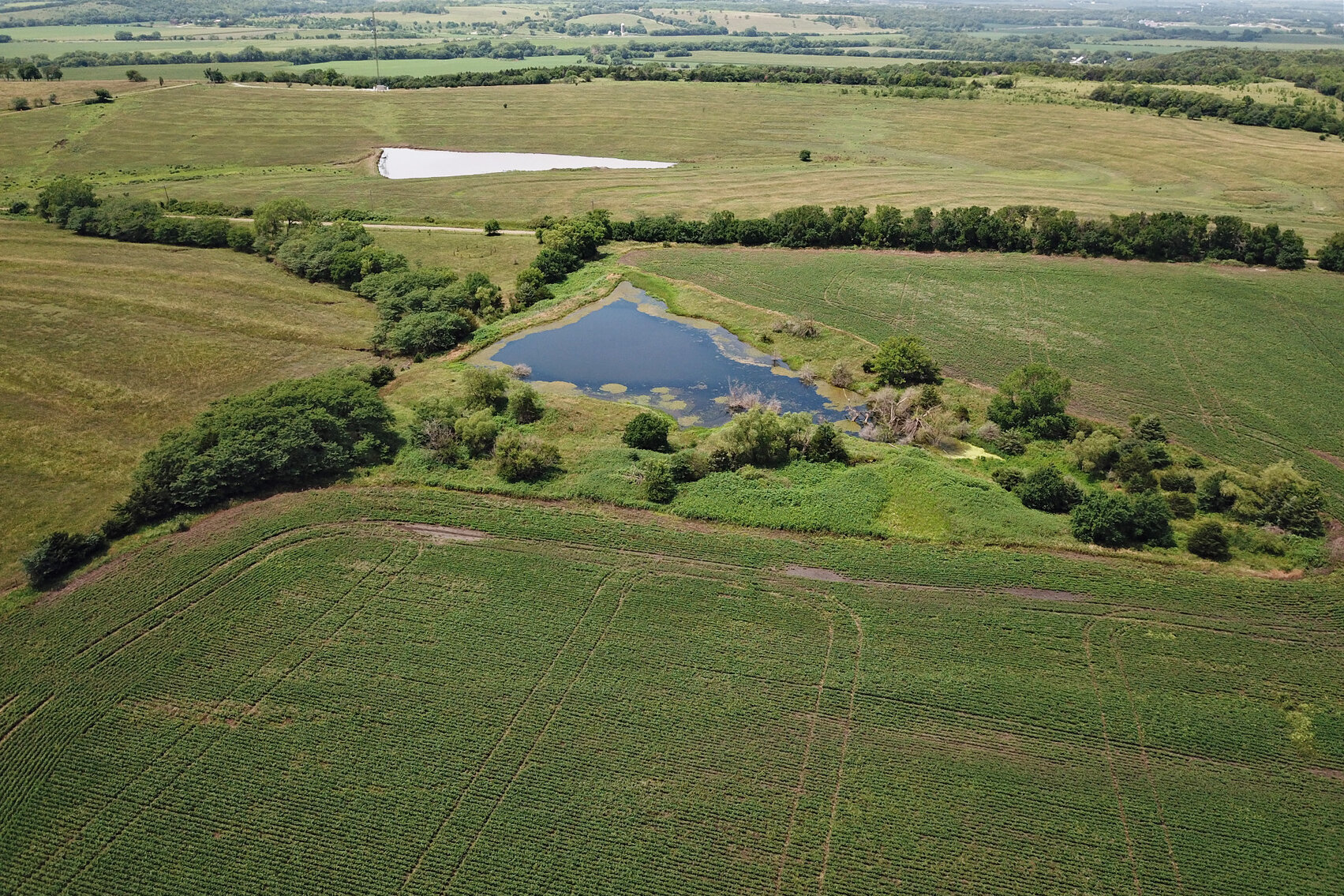 Image for Burrows Tracts Real Estate Pawnee County, NE Land Auction