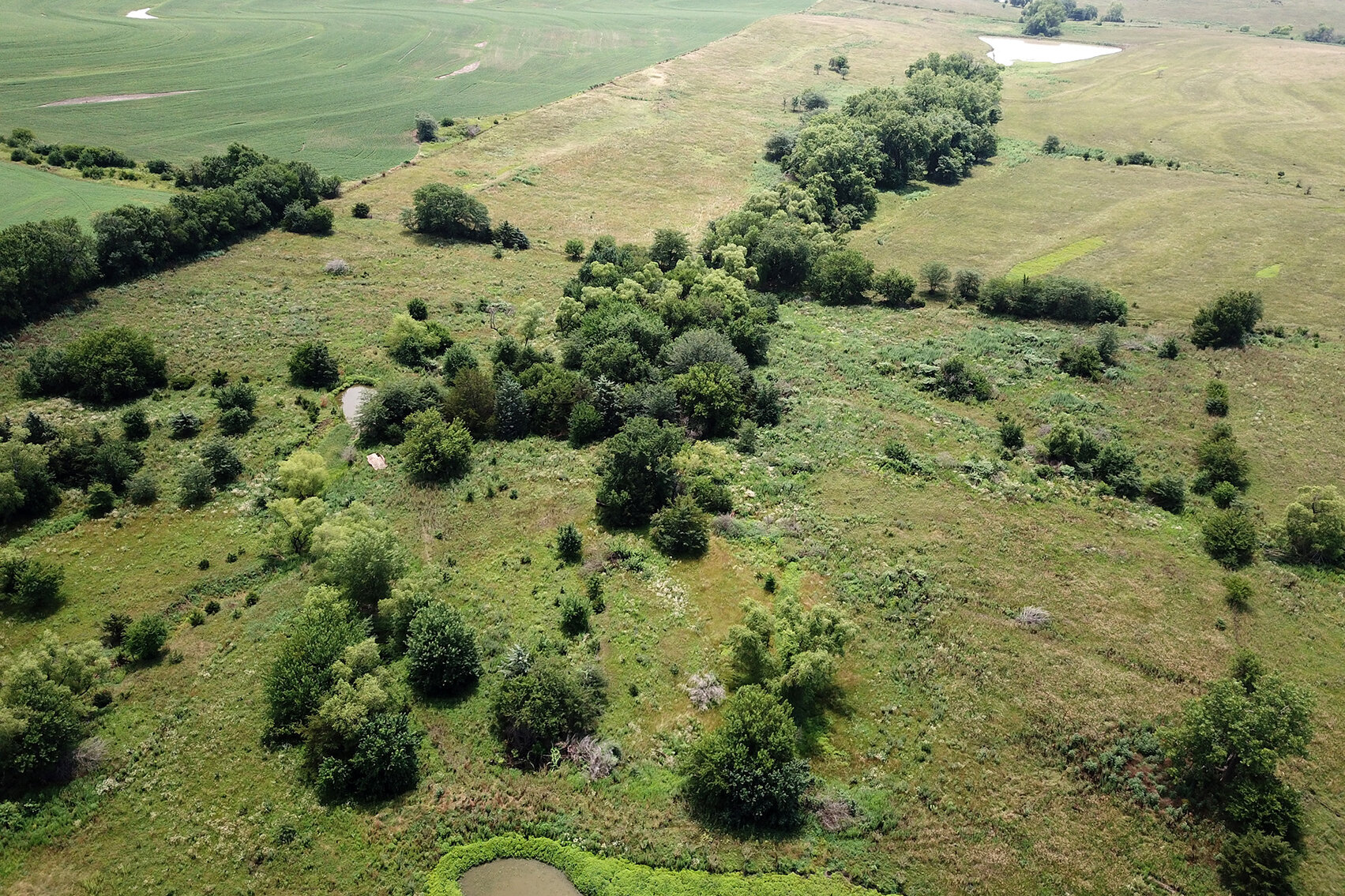 Image for Burrows Tracts Real Estate Pawnee County, NE Land Auction