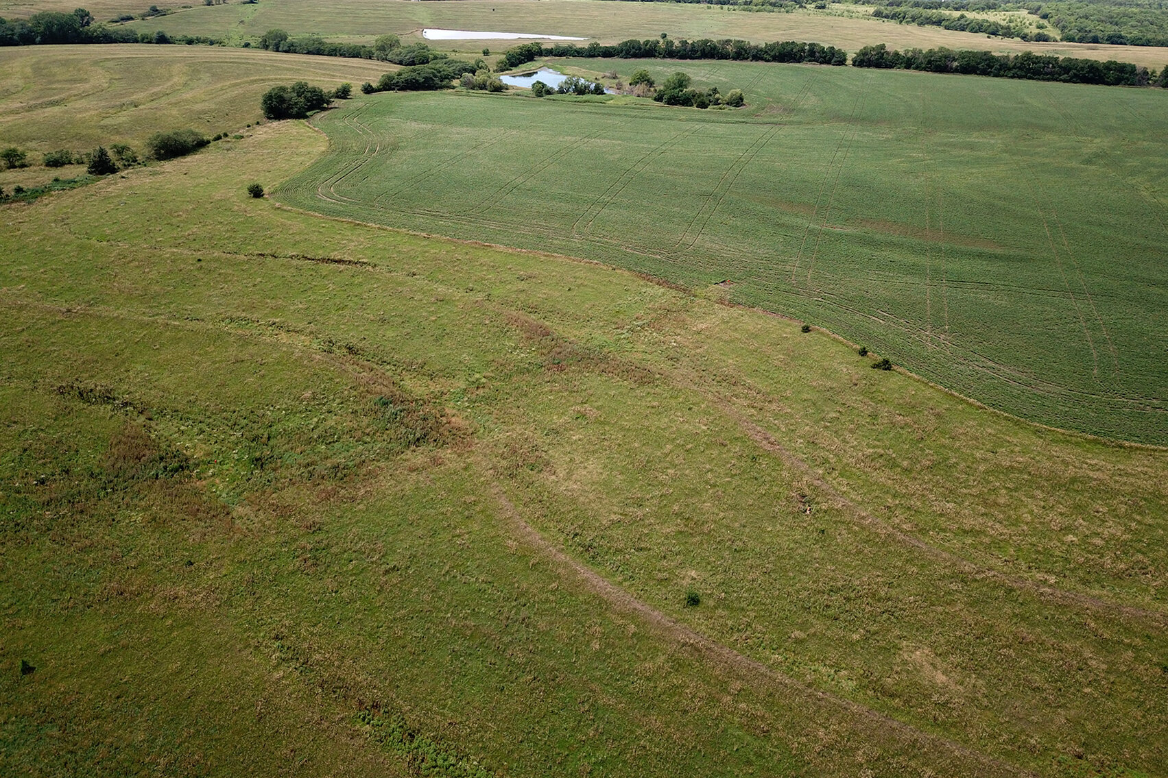 Image for Burrows Tracts Real Estate Pawnee County, NE Land Auction
