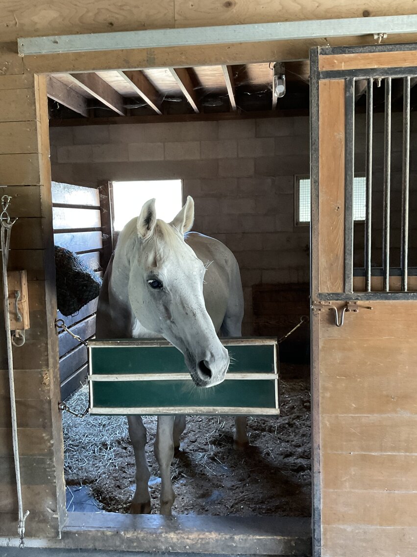 Image for Seller Ordered Online Auction - 55.92 +/- Acres with 3BR Farmhouse and Outbuildings in Lawrence Township