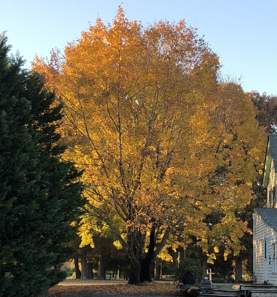 Image for Seller Ordered Online Auction - 55.92 +/- Acres with 3BR Farmhouse and Outbuildings in Lawrence Township