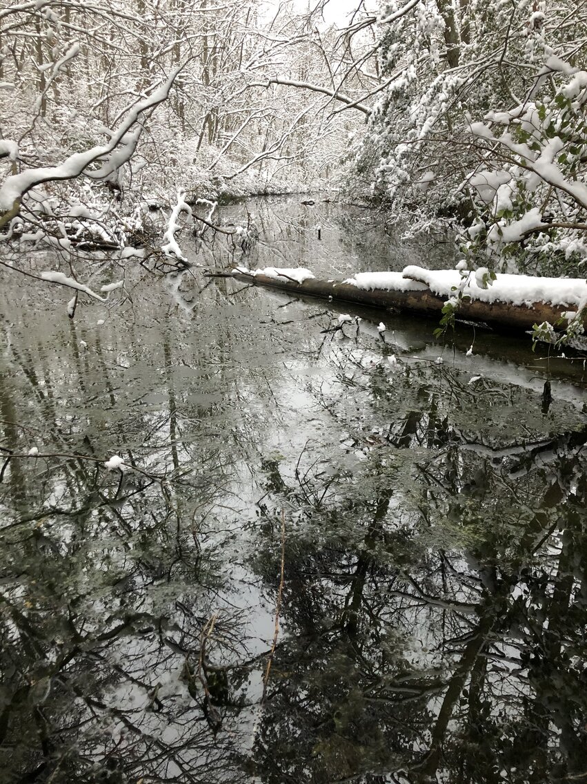 Image for Seller Ordered Online Auction - 55.92 +/- Acres with 3BR Farmhouse and Outbuildings in Lawrence Township