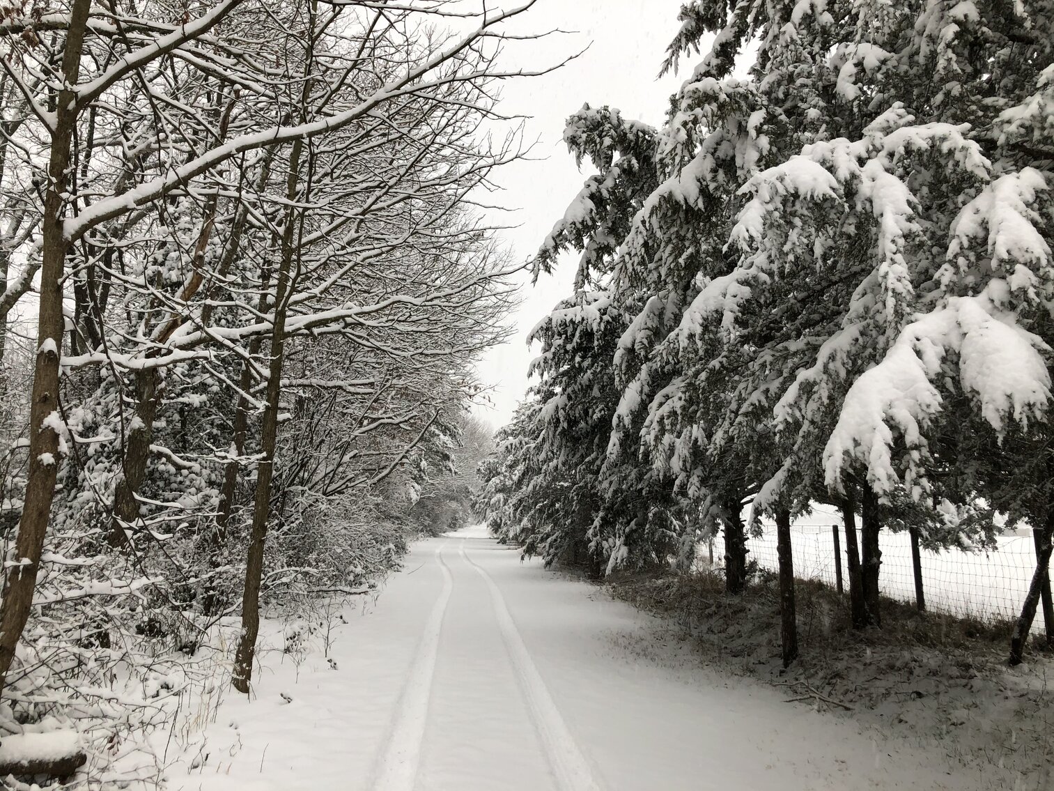 Image for Seller Ordered Online Auction - 55.92 +/- Acres with 3BR Farmhouse and Outbuildings in Lawrence Township