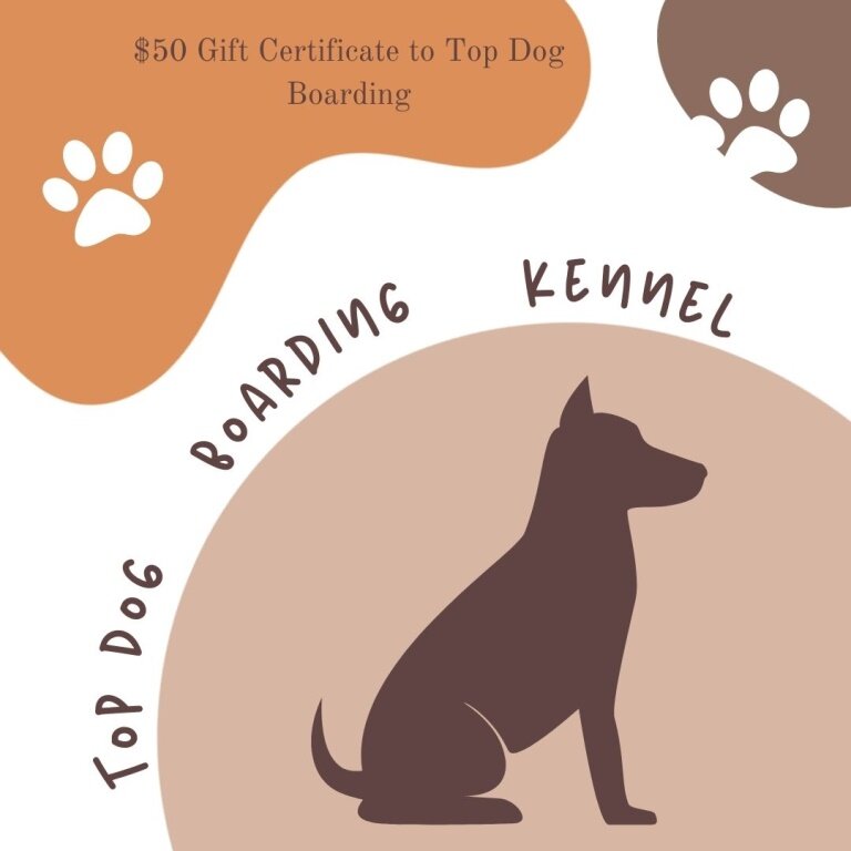 Image for New Directions Online Benefit Auction