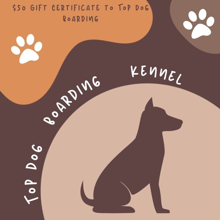 Image for New Directions Online Benefit Auction