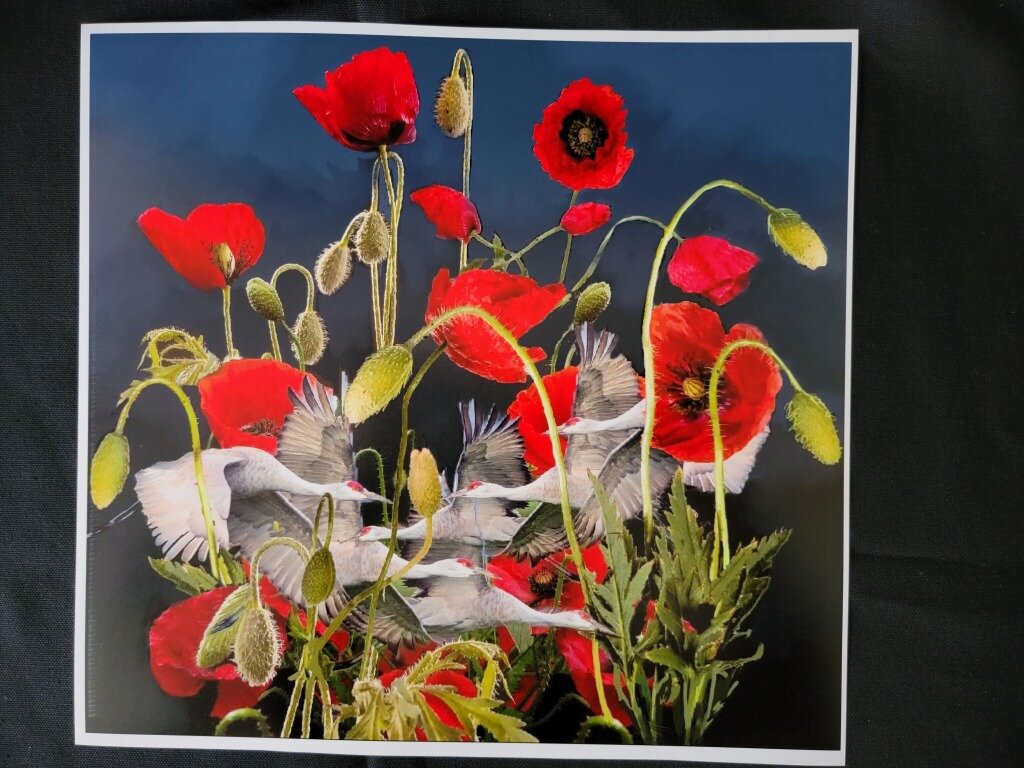 Image for New Directions Online Benefit Auction