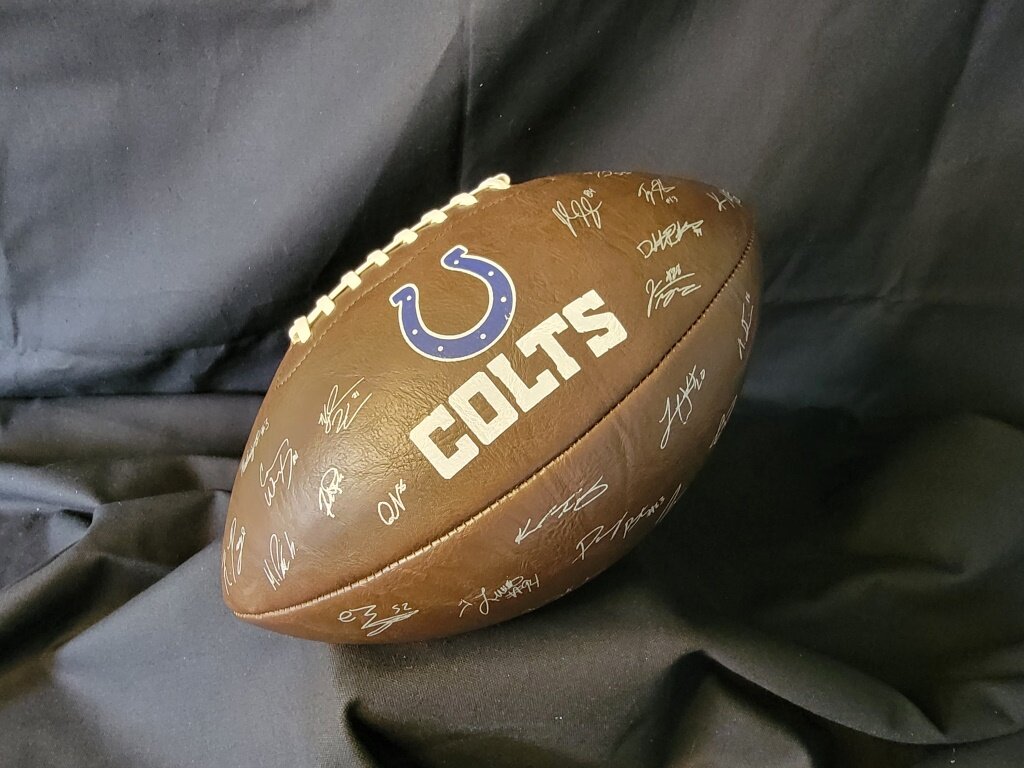 Image for New Directions Online Benefit Auction