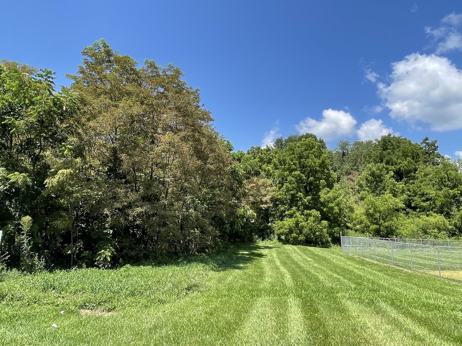 Image for SATURDAY, AUGUST 13th * 10:00 AM