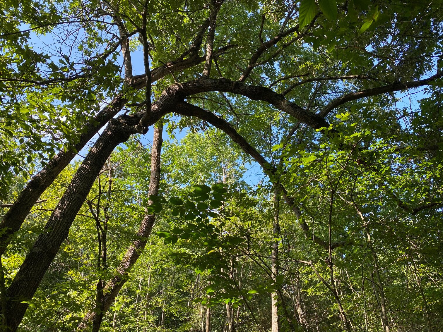 Image for ABSOLUTE ESTATE AUCTION 1066 BENTON BRIENSBURG ROAD BENTON, KY