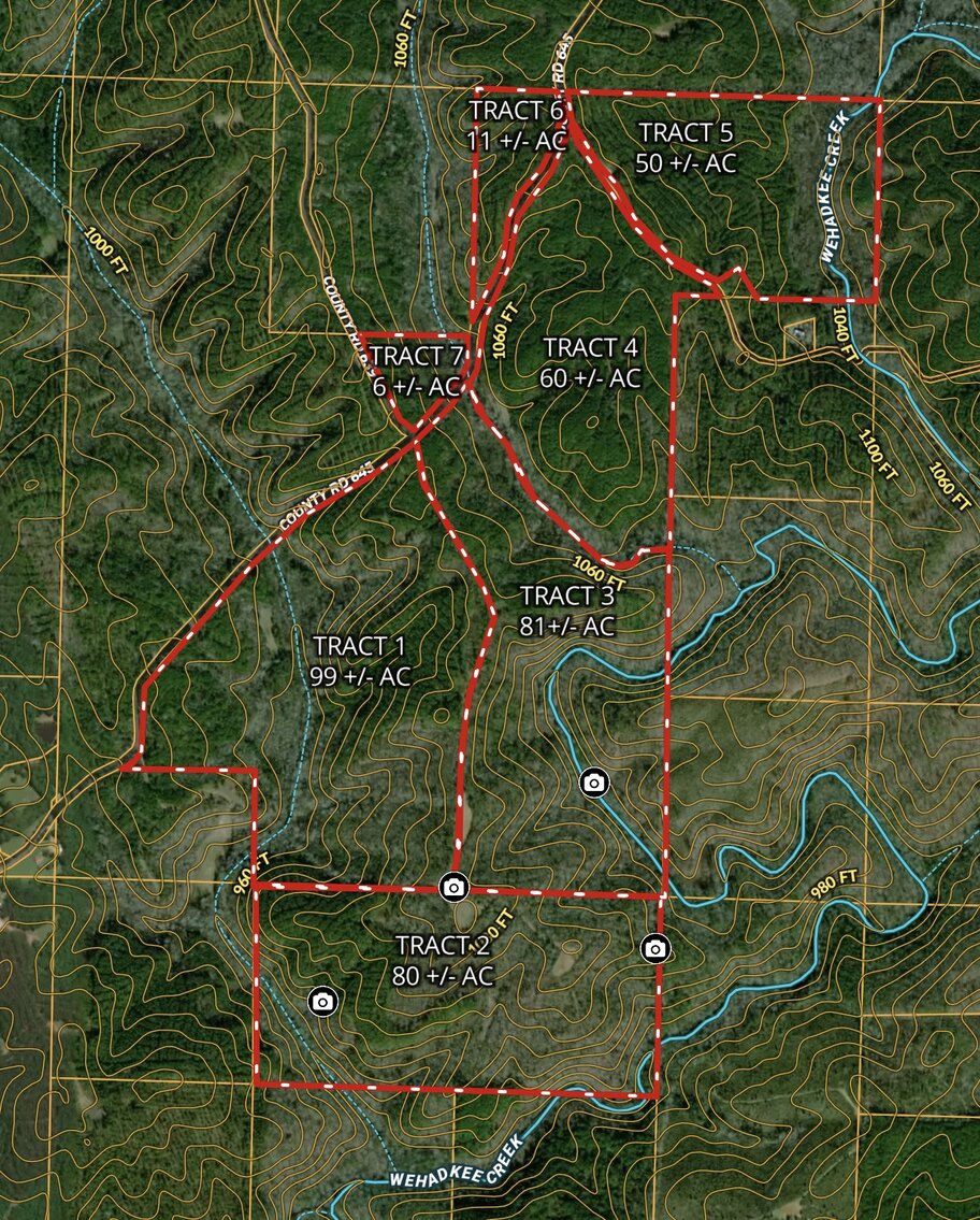 Image for Randolph County, AL - Timberland Auction