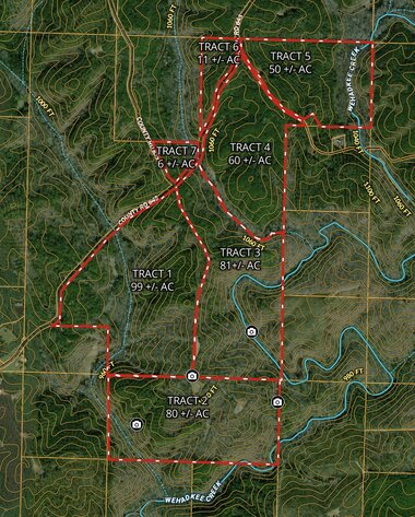 Image for Randolph County, AL - Timberland Auction
