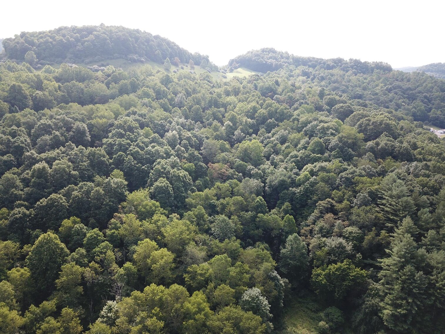 Image for SOLD $38,500 - 41 Acres off Hackers Creek