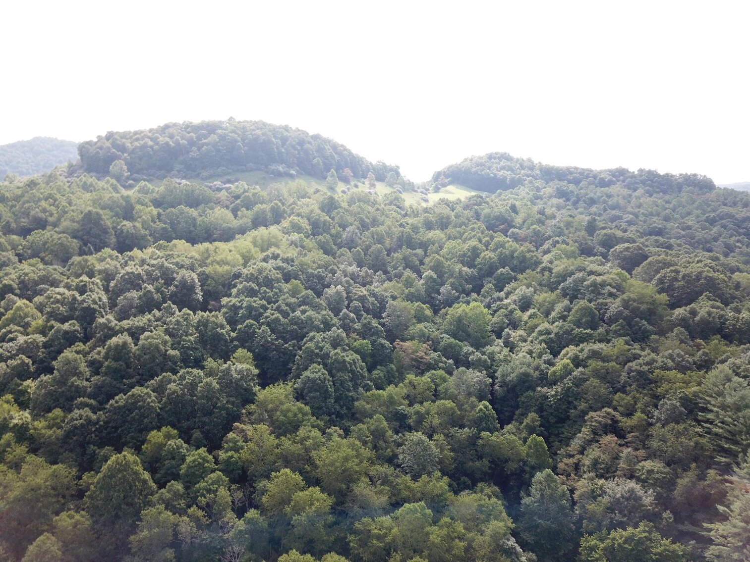 Image for SOLD $38,500 - 41 Acres off Hackers Creek