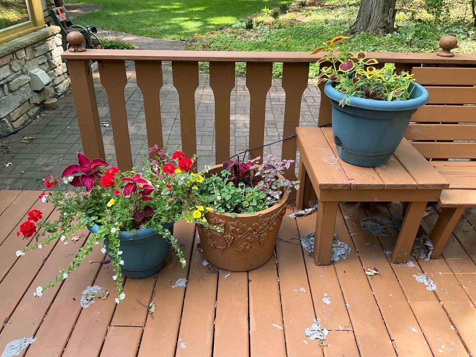 Image for Furniture, collectibles, household-Polaris Ct