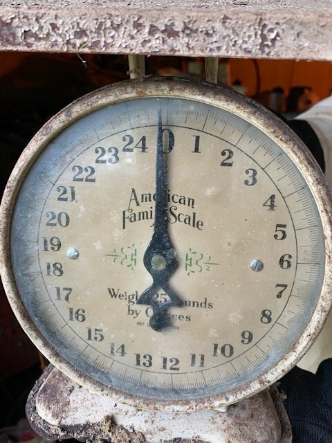 Image for Wades Branch Farm Auction - PERSONAL PROPERTY - Estate Auction LIVE 8/27 @10am