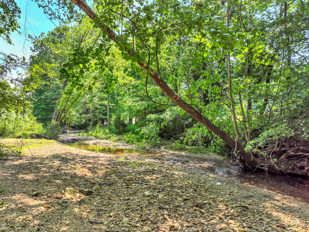 Image for 85 acre Farm Auction on Wades Branch