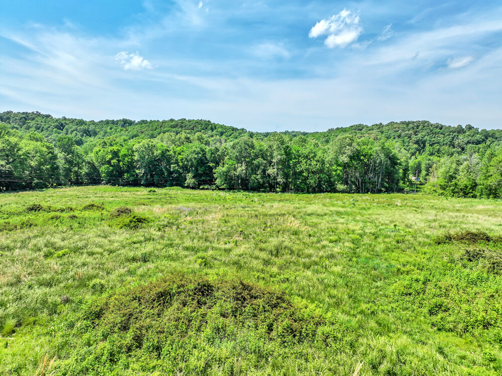 Image for 85 acre Farm Auction on Wades Branch