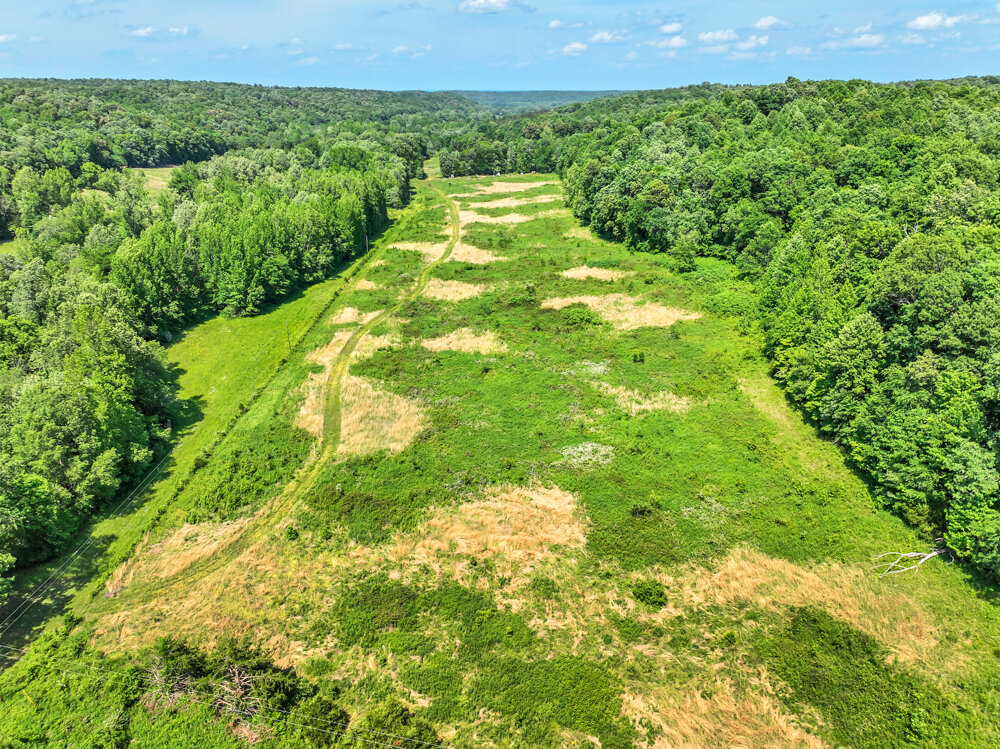 Image for 85 acre Farm Auction on Wades Branch