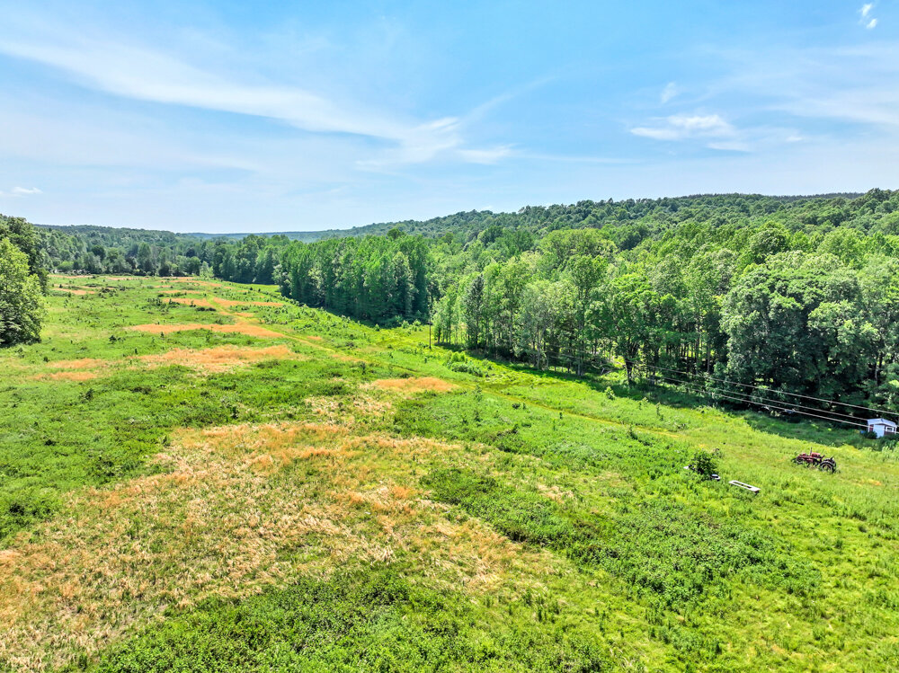 Image for 85 acre Farm Auction on Wades Branch