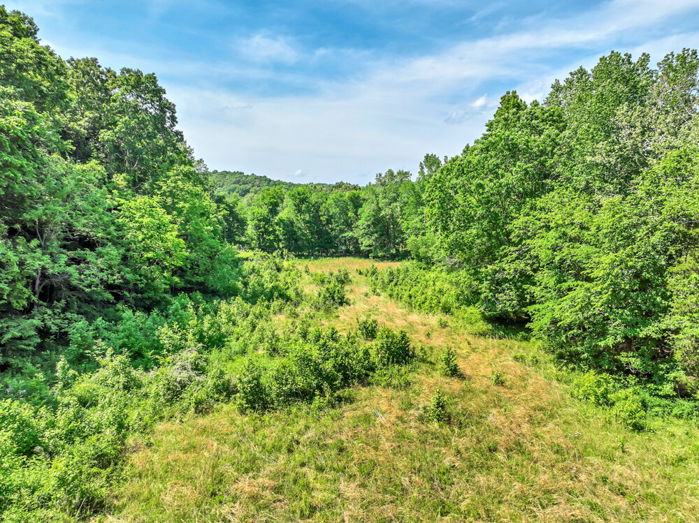 Image for 85 acre Farm Auction on Wades Branch