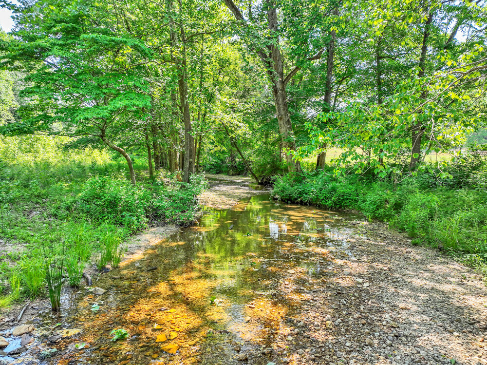 Image for 85 acre Farm Auction on Wades Branch