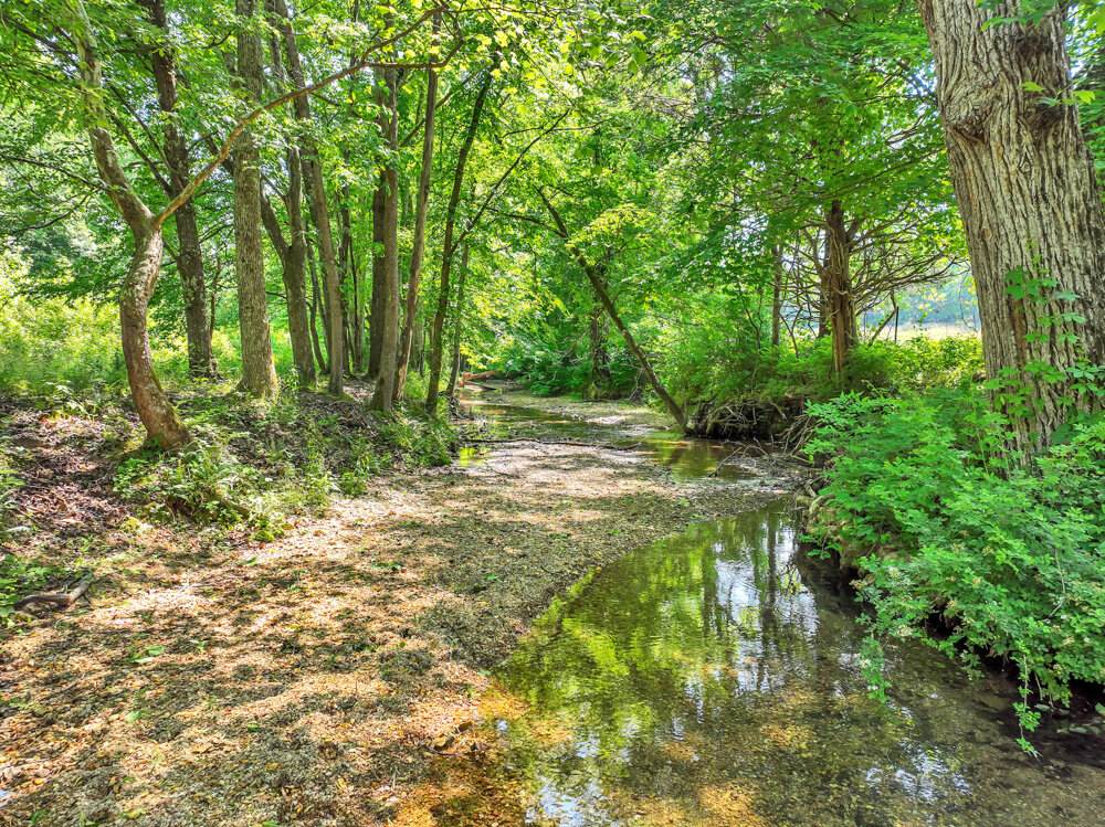 Image for 85 acre Farm Auction on Wades Branch