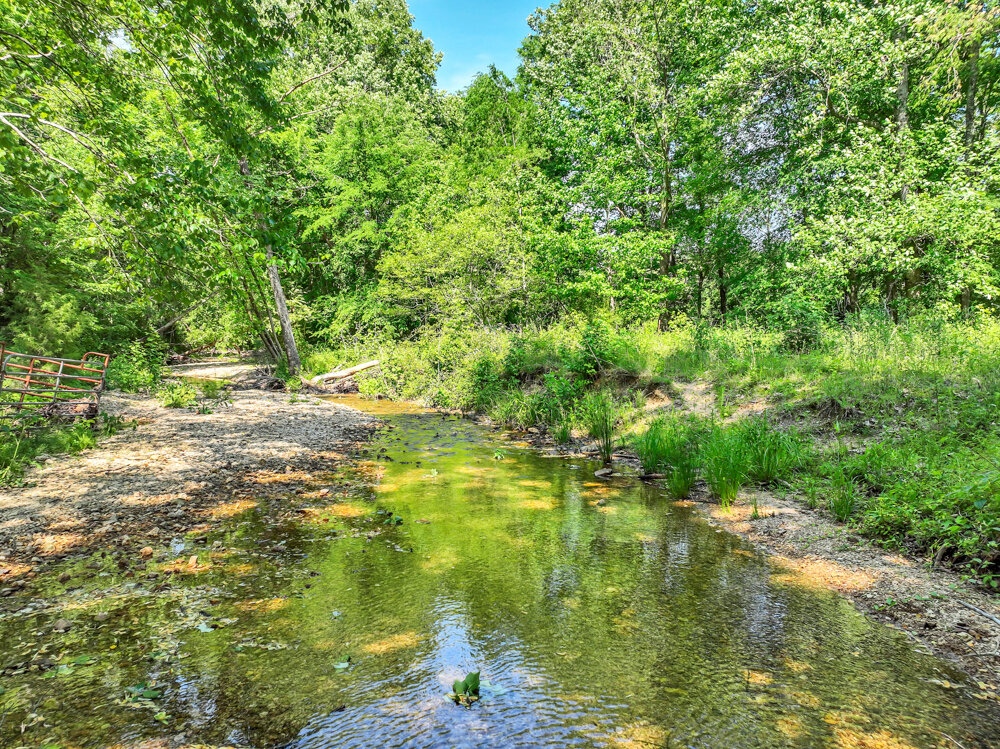 Image for 85 acre Farm Auction on Wades Branch