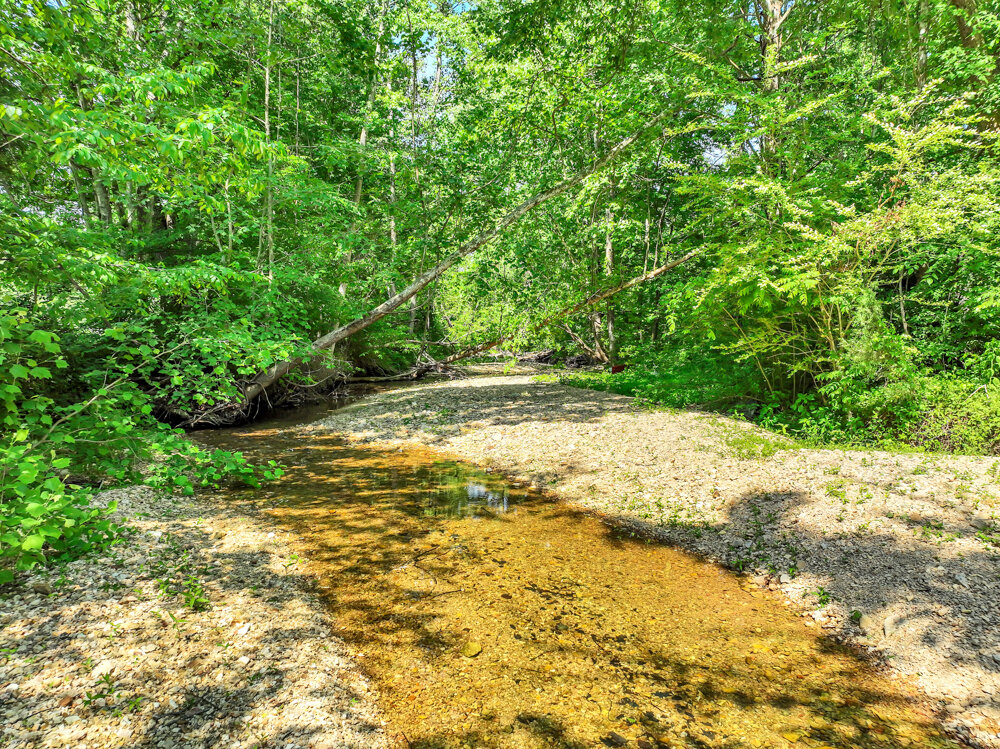 Image for 85 acre Farm Auction on Wades Branch