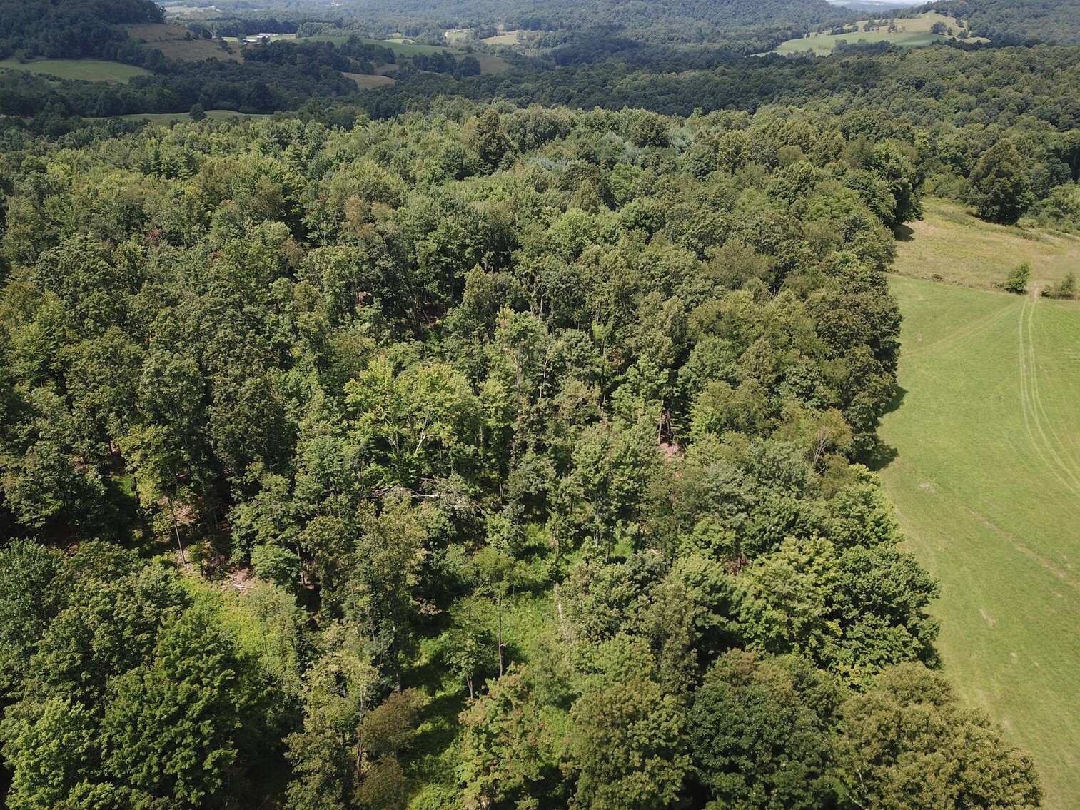 SOLD 53,900 8 ½ Acres Near Teter Creek Lake