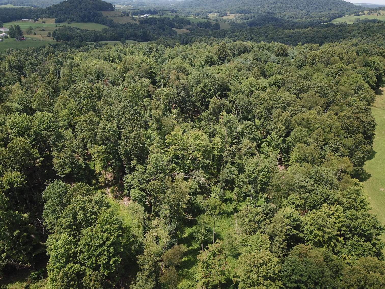 SOLD 53,900 8 ½ Acres Near Teter Creek Lake