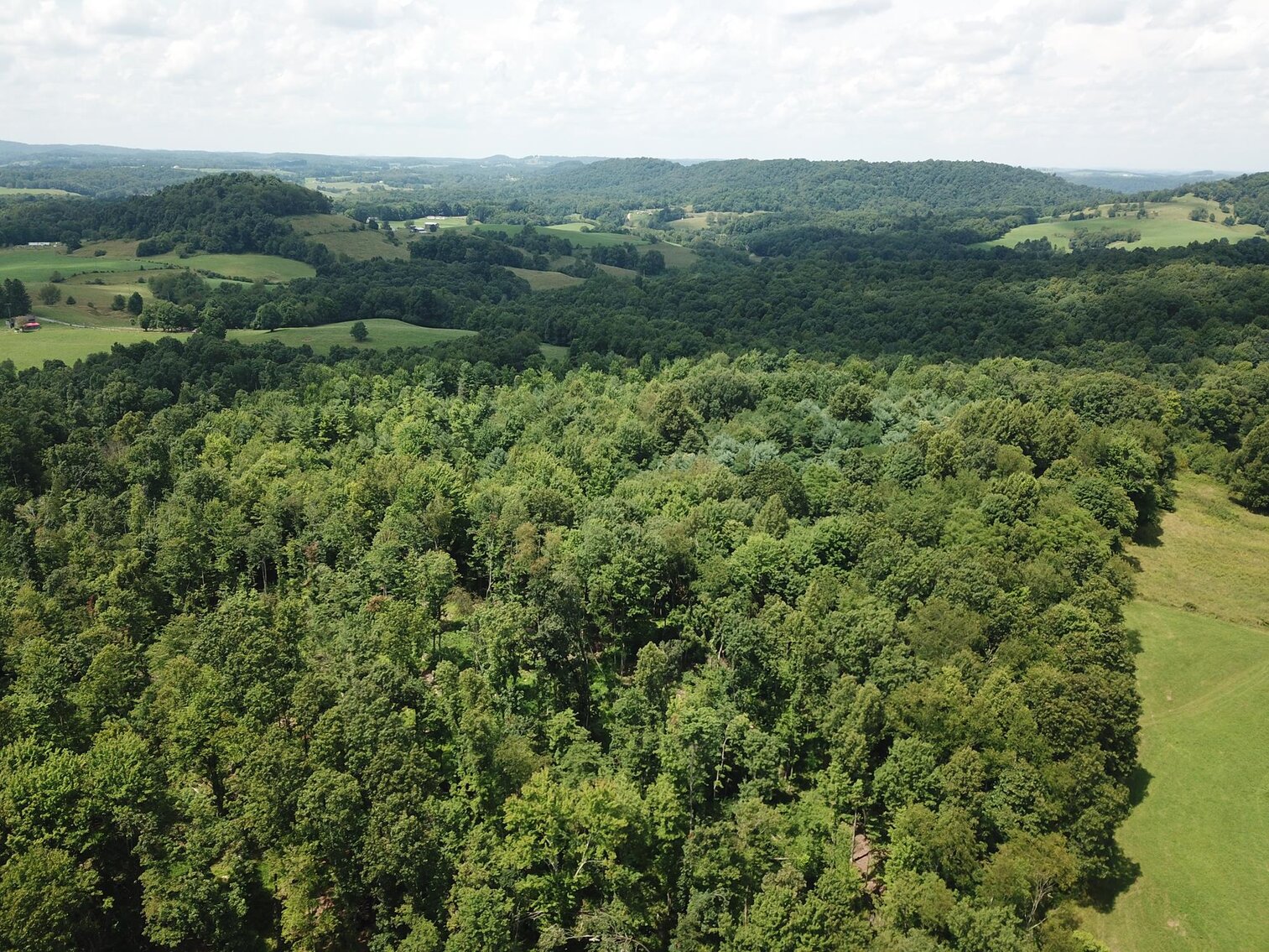 SOLD 53,900 8 ½ Acres Near Teter Creek Lake