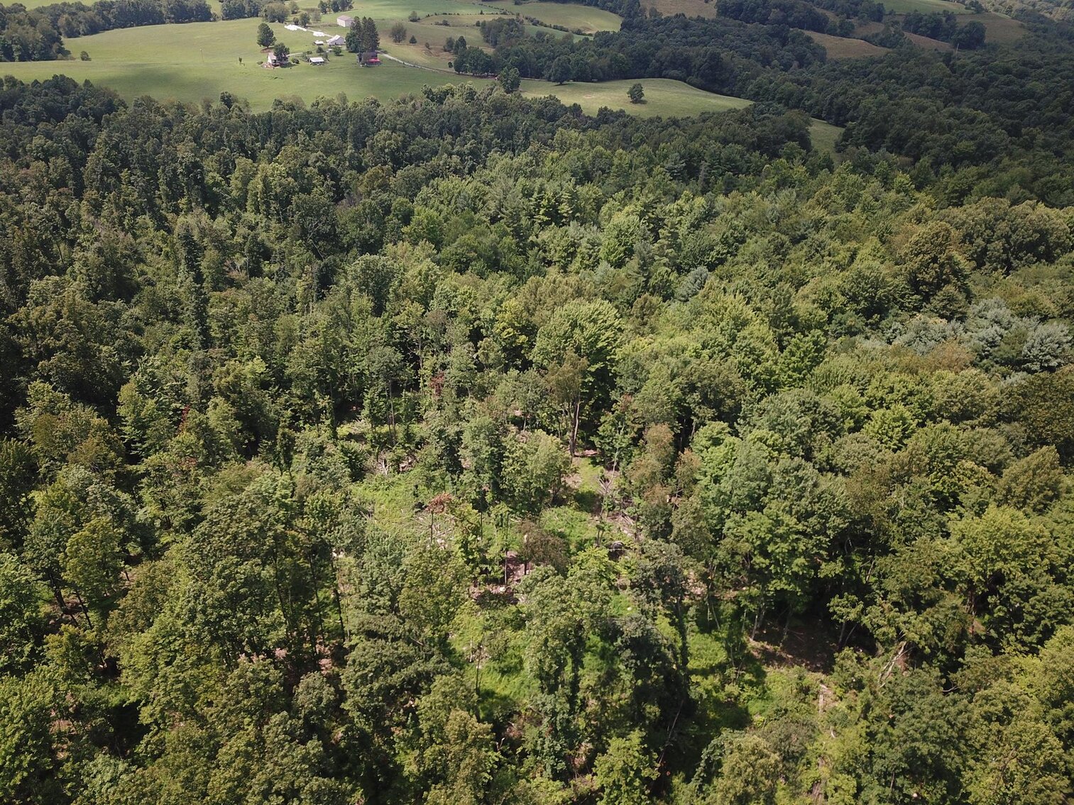 Image for SOLD $53,900 - 8 ½ Acres Near Teter Creek Lake