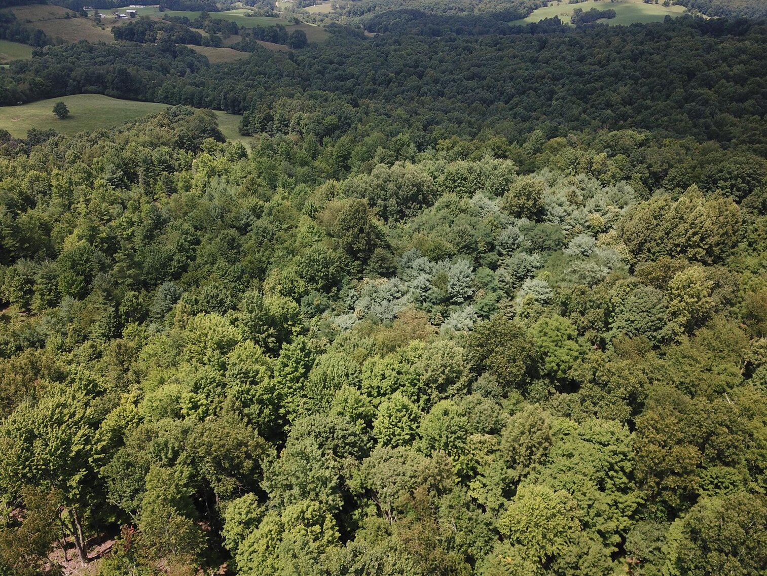 Image for SOLD $53,900 - 8 ½ Acres Near Teter Creek Lake