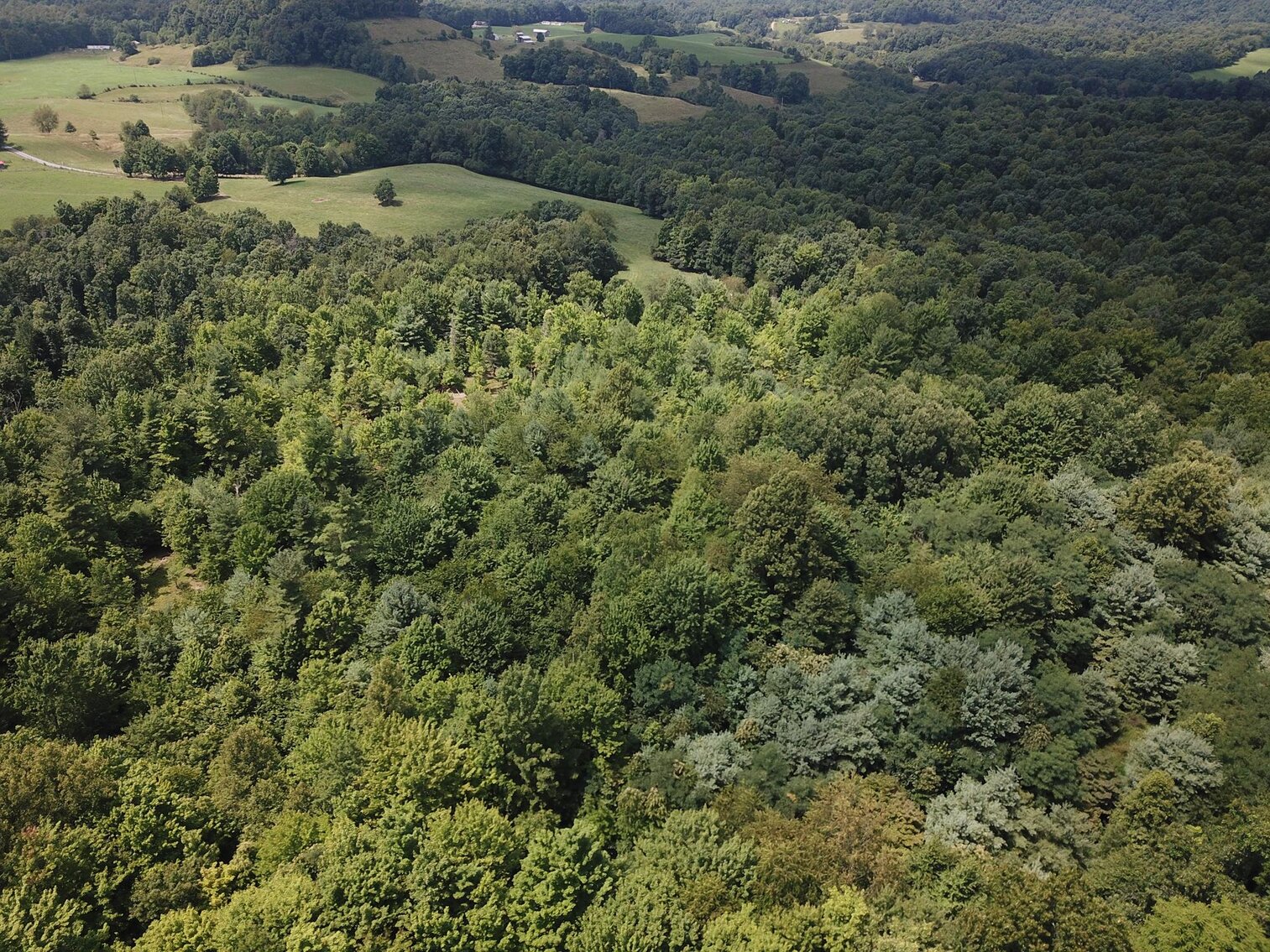 Image for SOLD $53,900 - 8 ½ Acres Near Teter Creek Lake