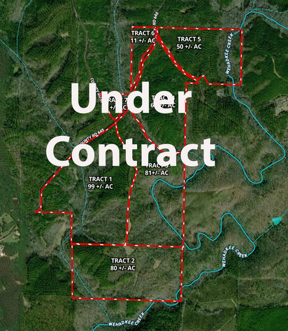 Image for Randolph County, AL - Timberland Auction