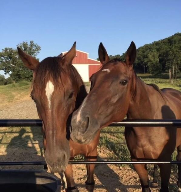 Image for Luxury Home and 120 Acre Farm - Heber Springs, Arkansas