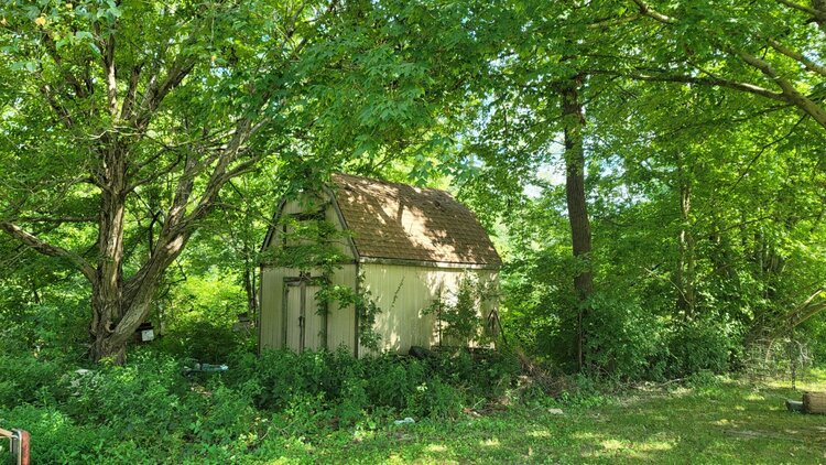 Image for 3 Bedroom 1 Bathroom Home