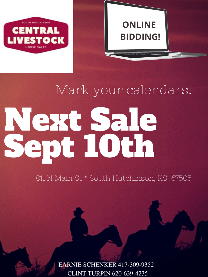 Image for Central Livestock Horse Sale - September 10th - South Hutchinson, Kansas