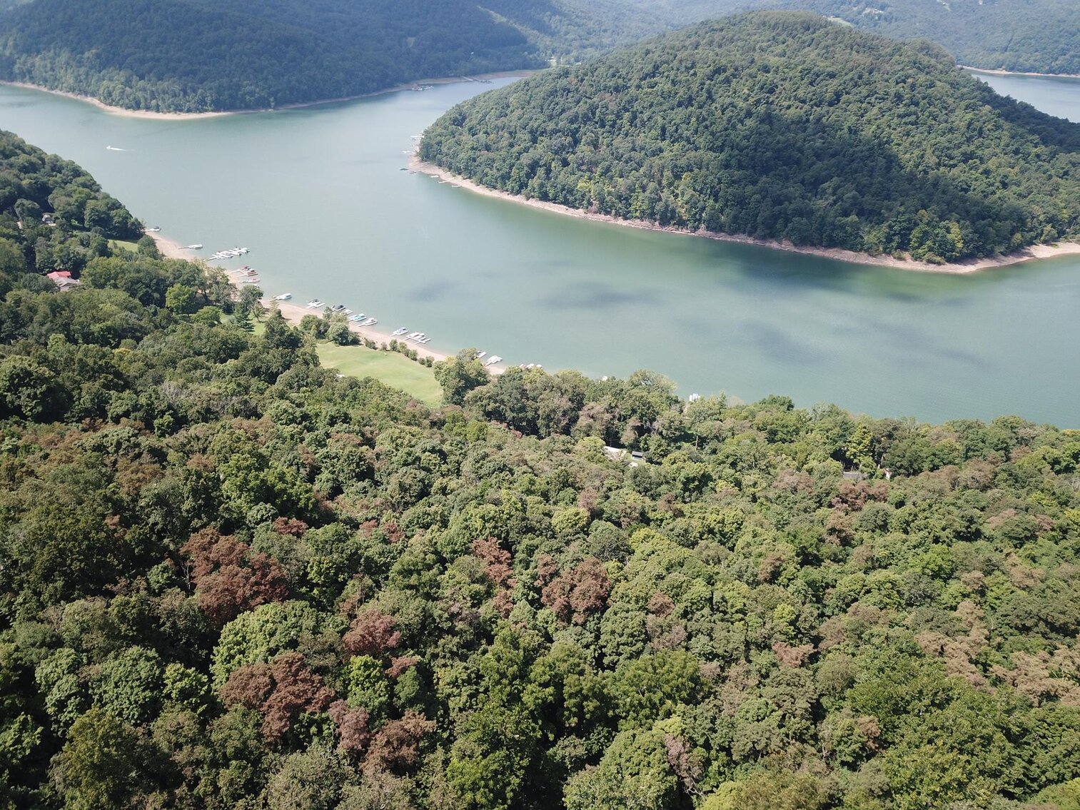 10 Acres Overlooking Yough Lake Selling to the Highest Bidder