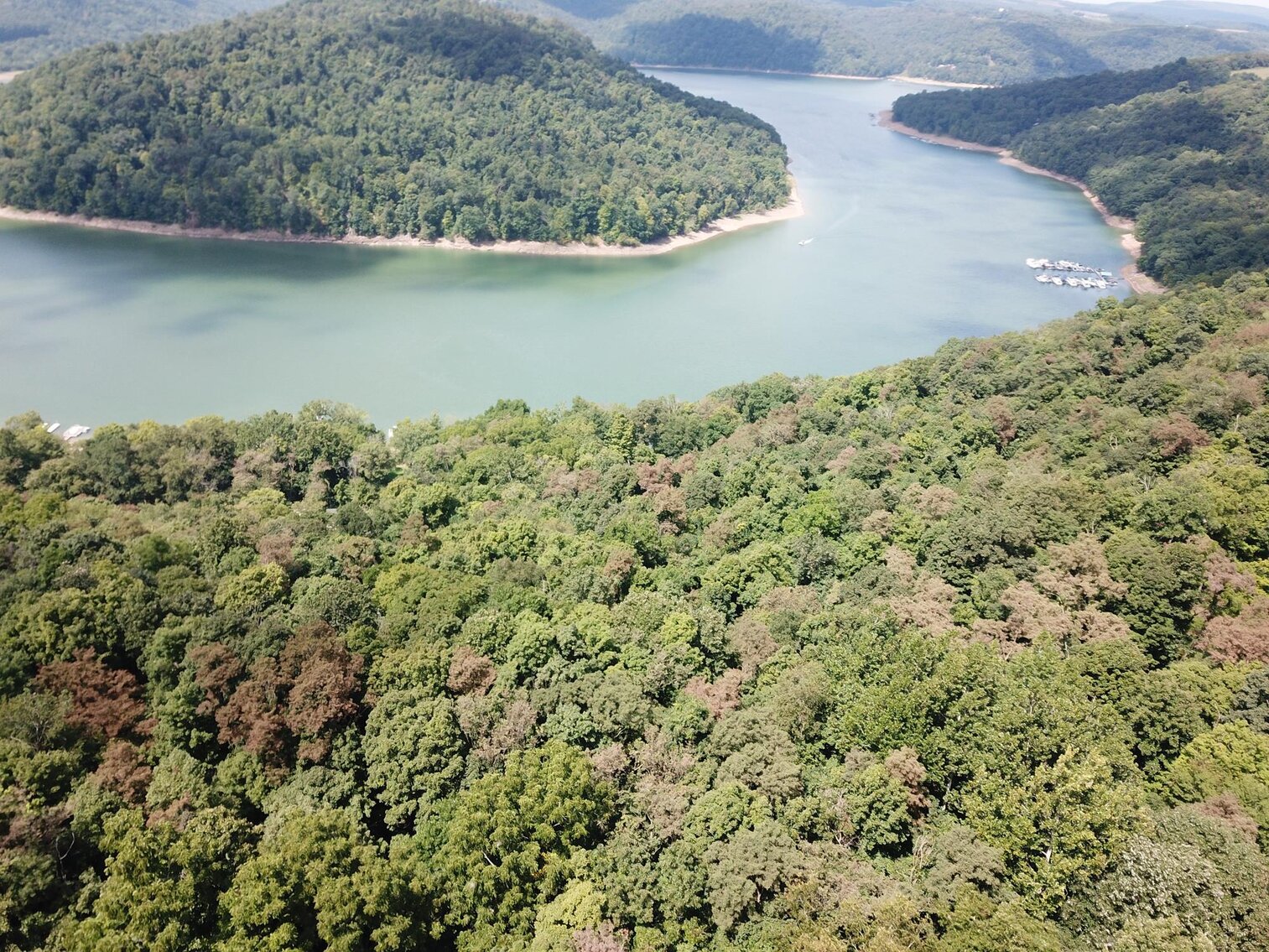 10 Acres Overlooking Yough Lake Selling to the Highest Bidder