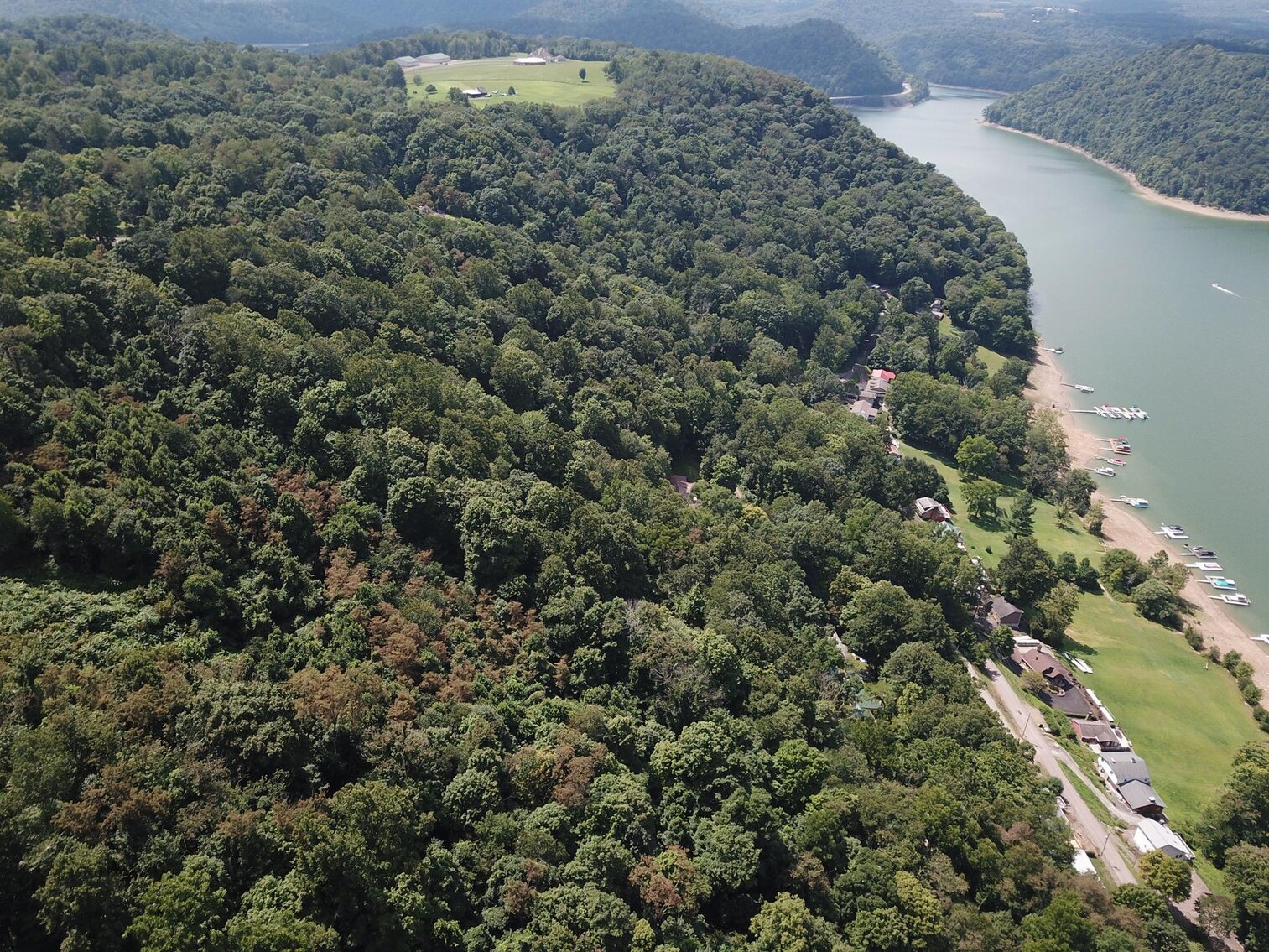 Image for SOLD $52,800 - 10 Acres Overlooking Yough Lake Selling to the Highest Bidder