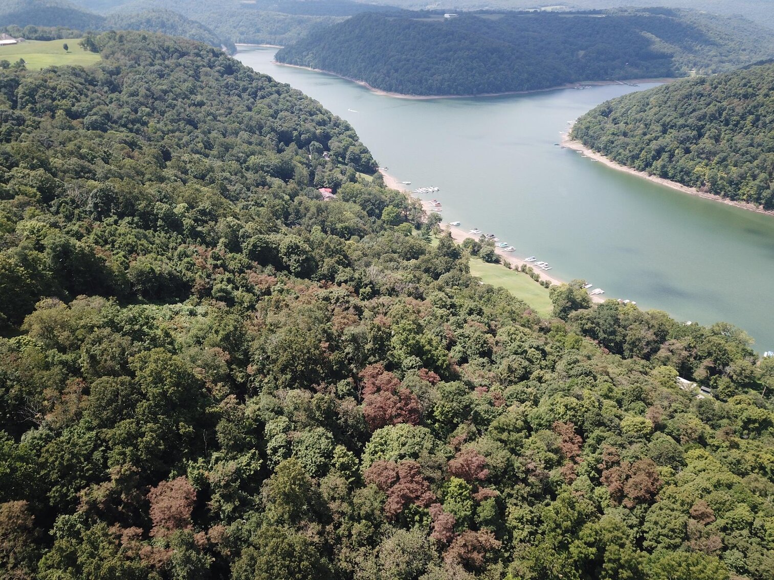 Image for SOLD $52,800 - 10 Acres Overlooking Yough Lake Selling to the Highest Bidder