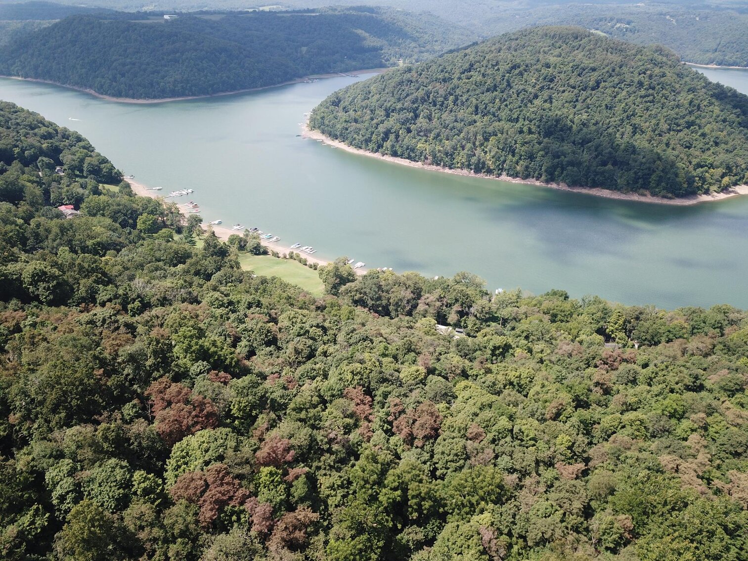 Image for SOLD $52,800 - 10 Acres Overlooking Yough Lake Selling to the Highest Bidder