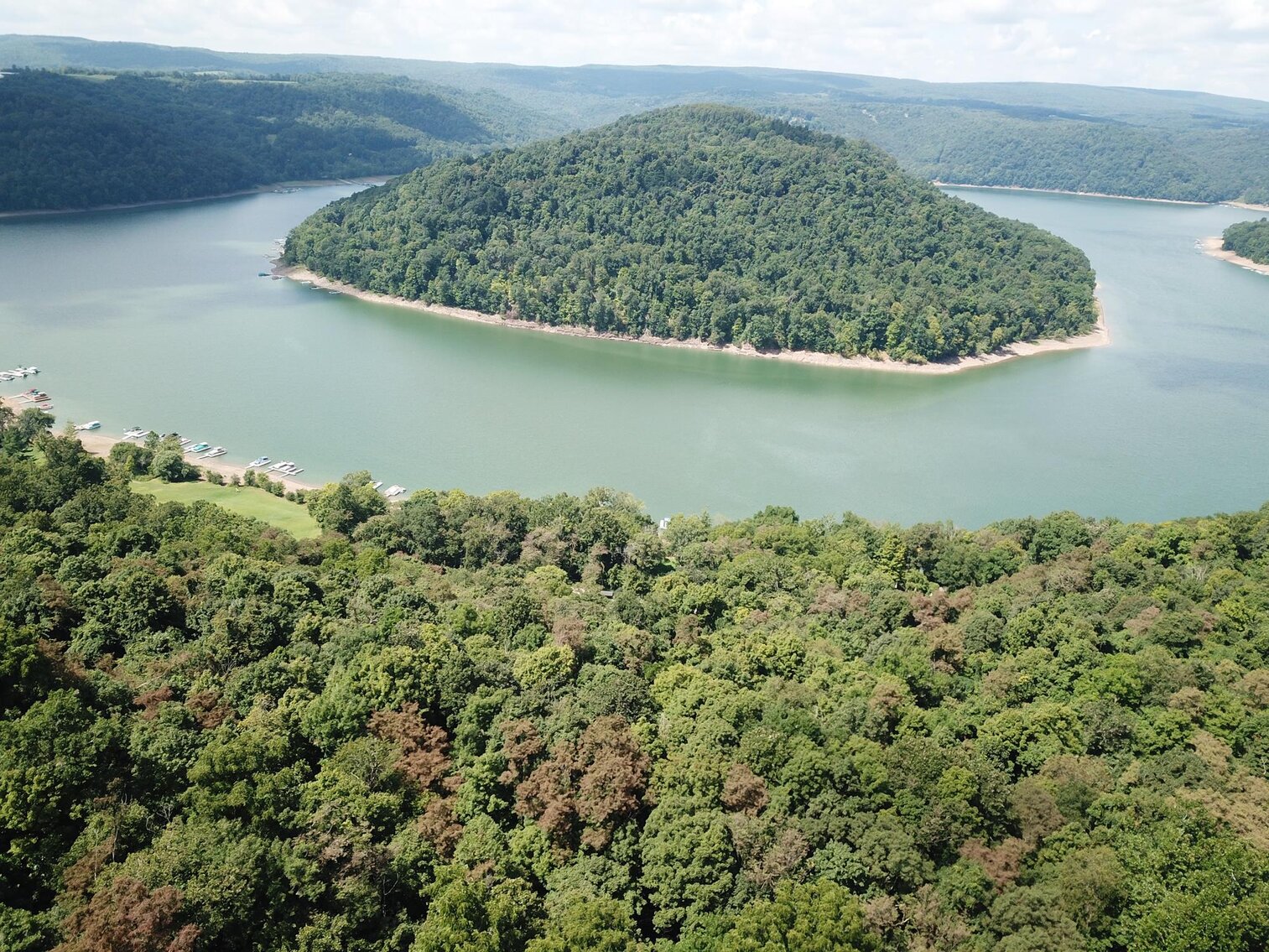 Image for SOLD $52,800 - 10 Acres Overlooking Yough Lake Selling to the Highest Bidder