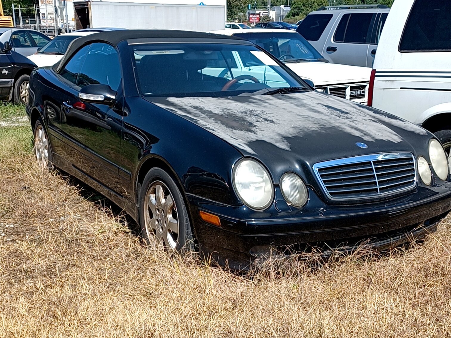 Image for September Impounds