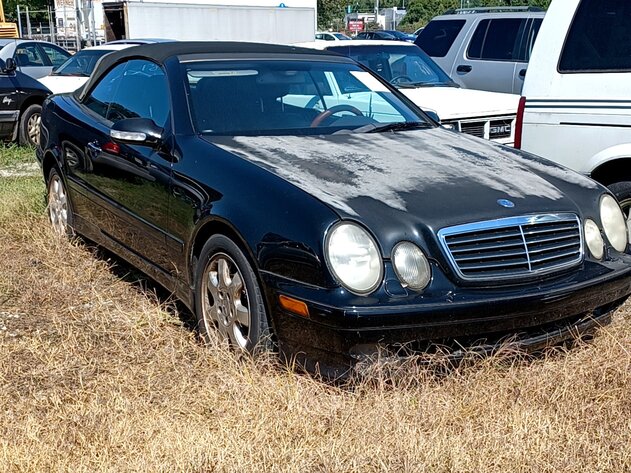 Image for September Impounds